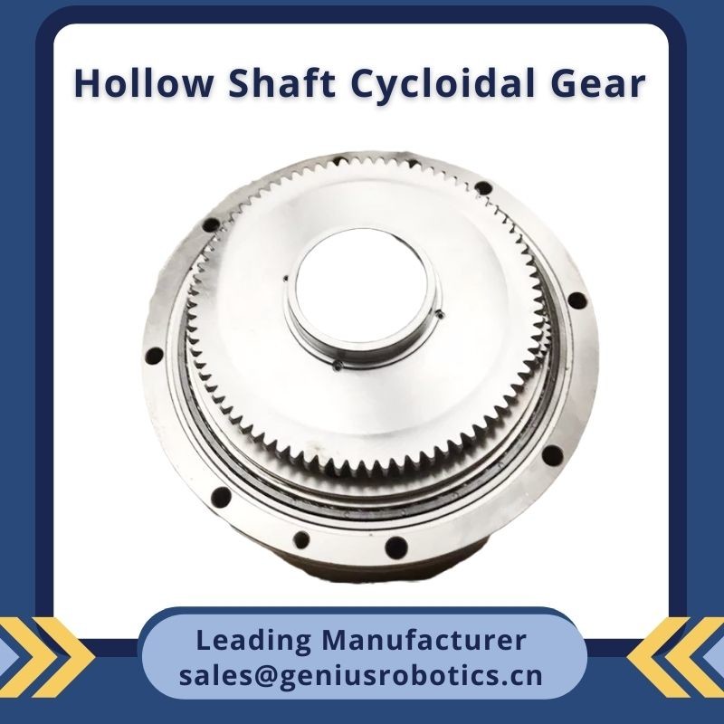 High Transmission Cycloidal Gear Reducer With Hollow Shaft